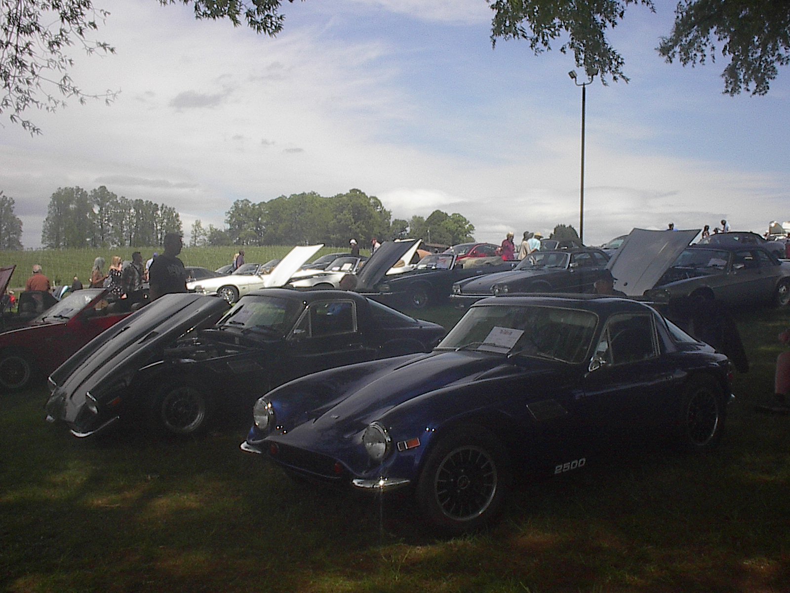 Dobson British Car Meet 2024 021.JPG