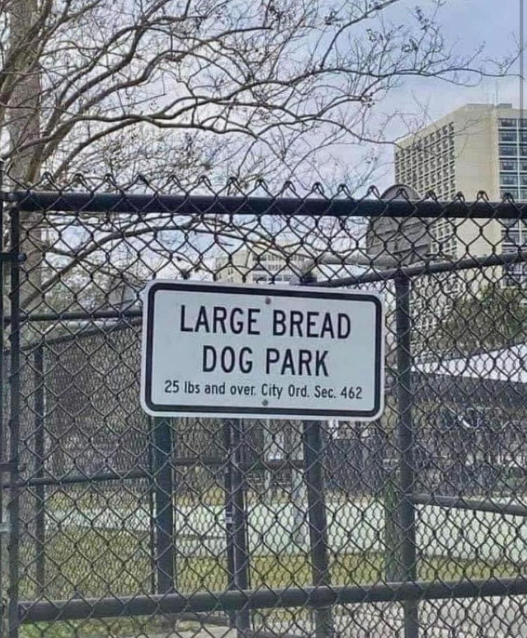 dog bread.jpg