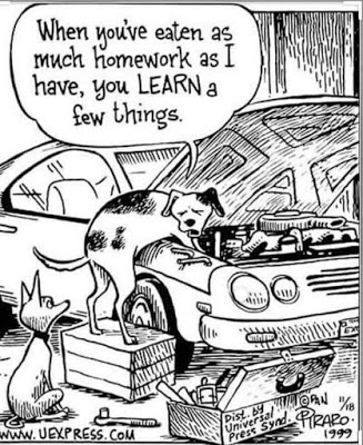 Dog Mechanic.png