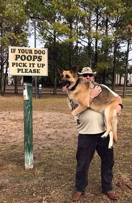 Dog Poops.JPG