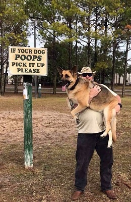 Dog Poops.jpg