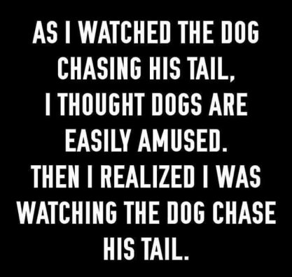 dogwag.jpg