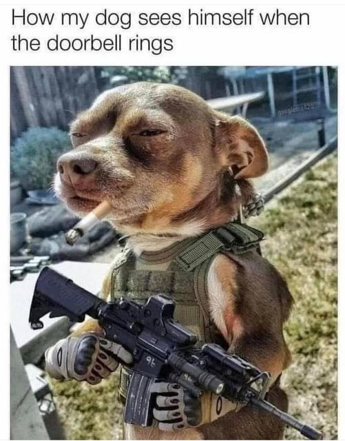 DoorGuard.jpg