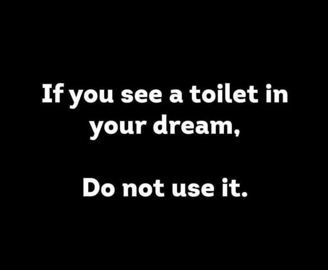 dream toilet.jpg