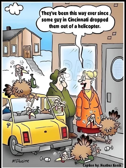 drunk turkeys.jpg