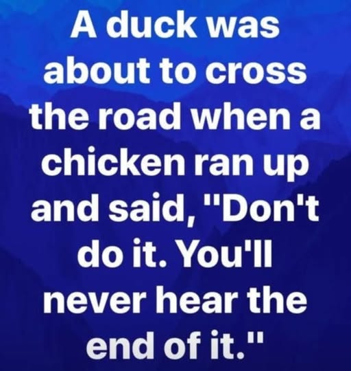 duck about to cross the road.jpg