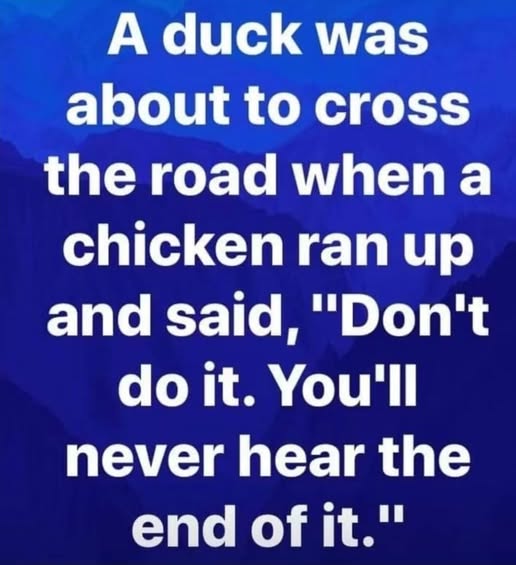 duck cross the road.jpg