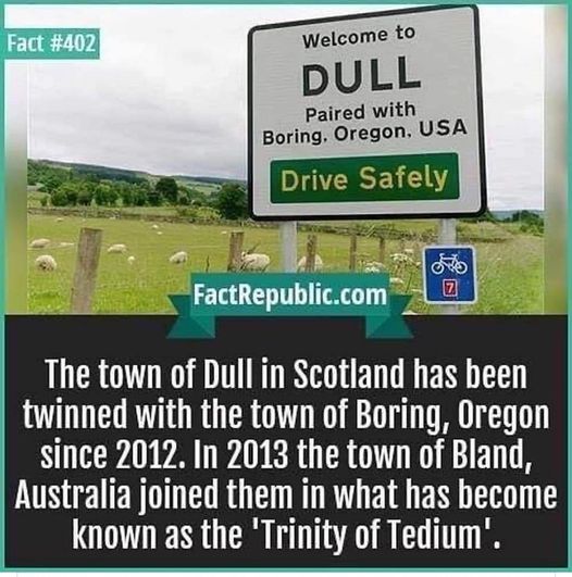 Dull.jpg