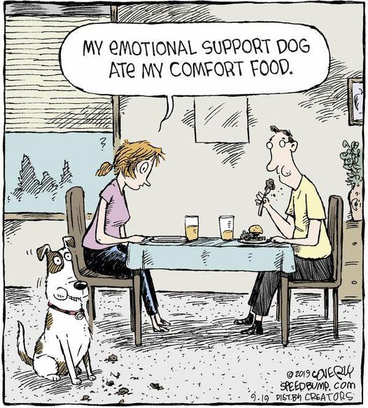 emotional support dog.jpg