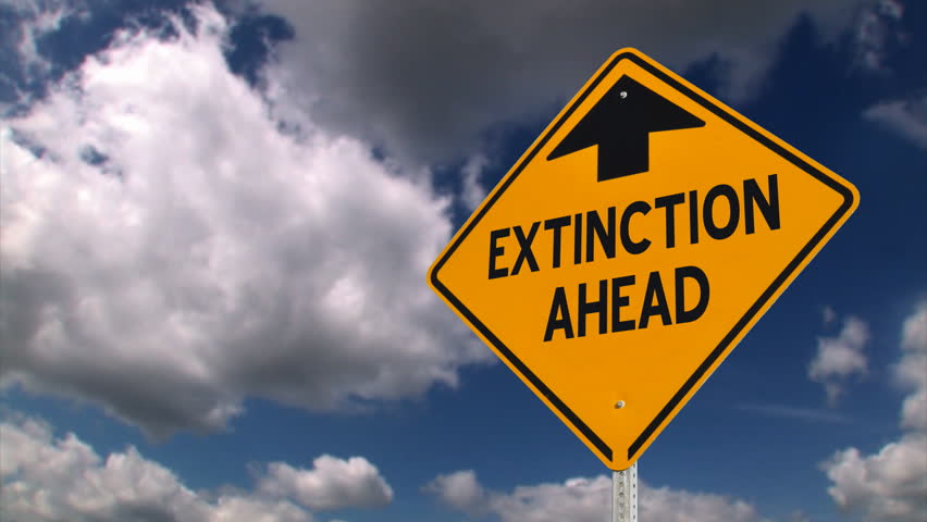 extinction.jpg