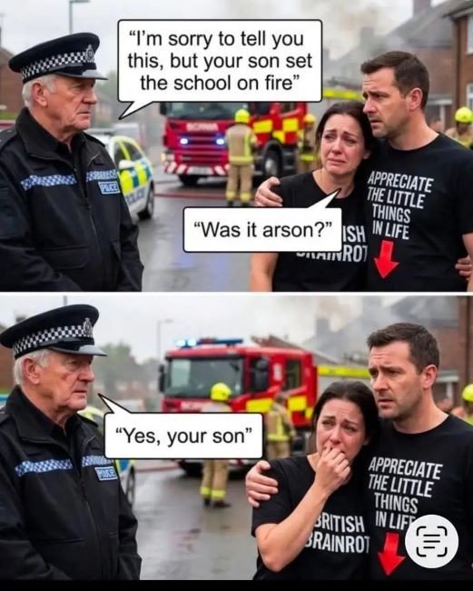 f33ed29e8dd929397e14.jpg