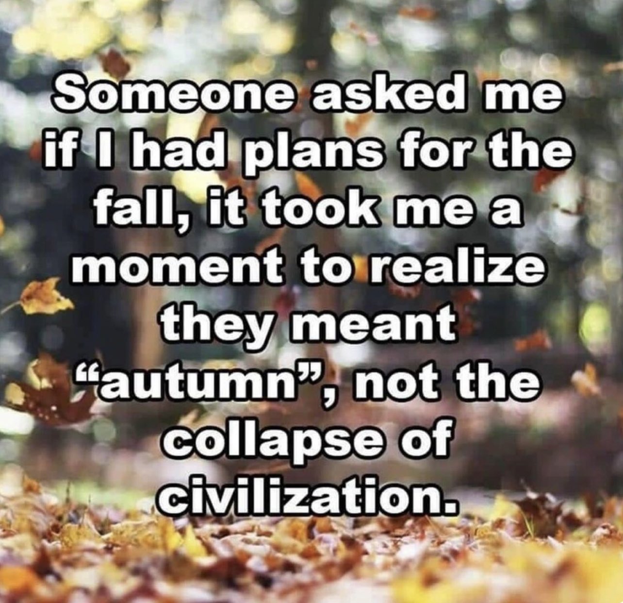 fall.jpeg