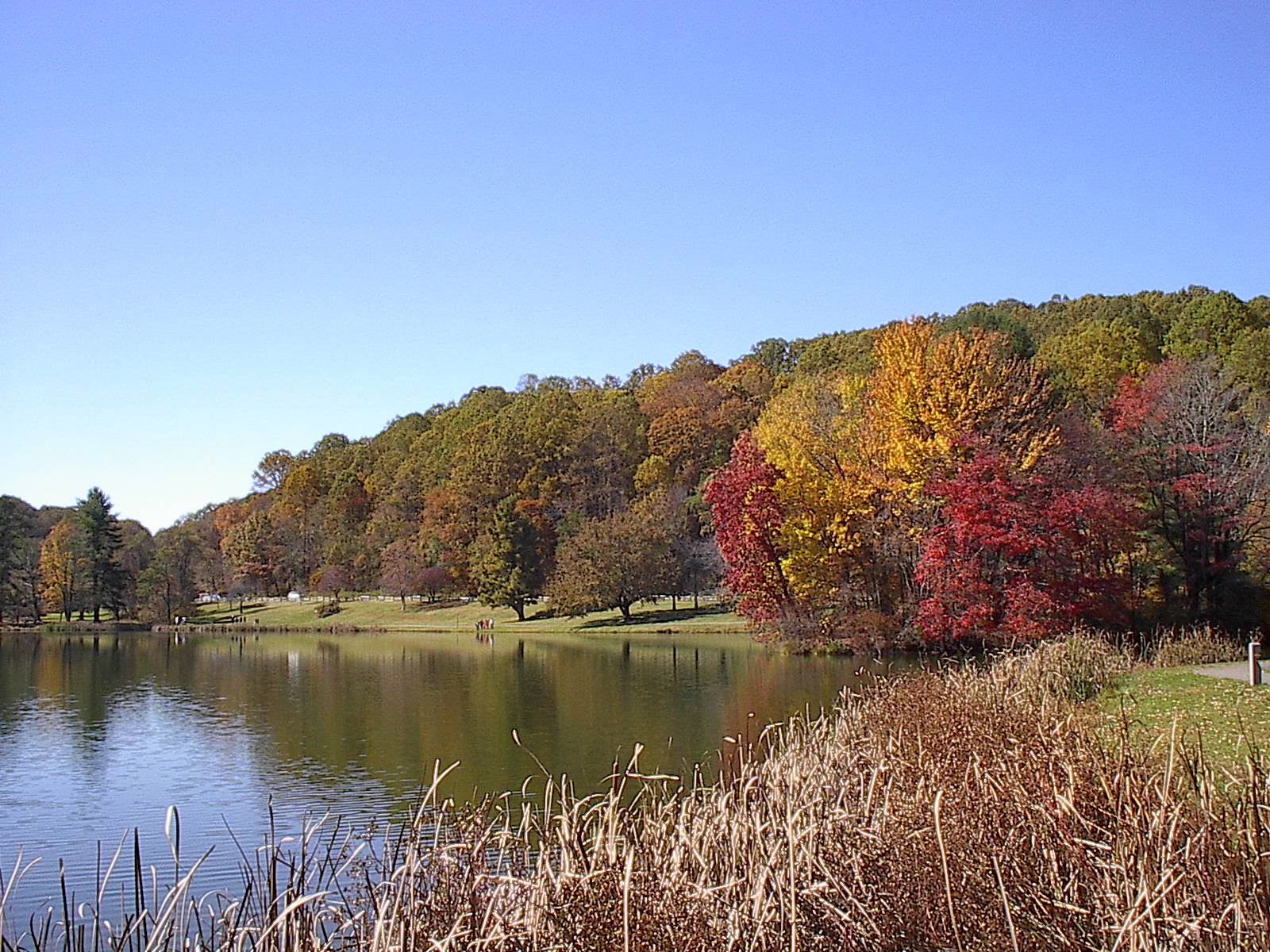 Fall Parkway Drive 102022 004.JPG