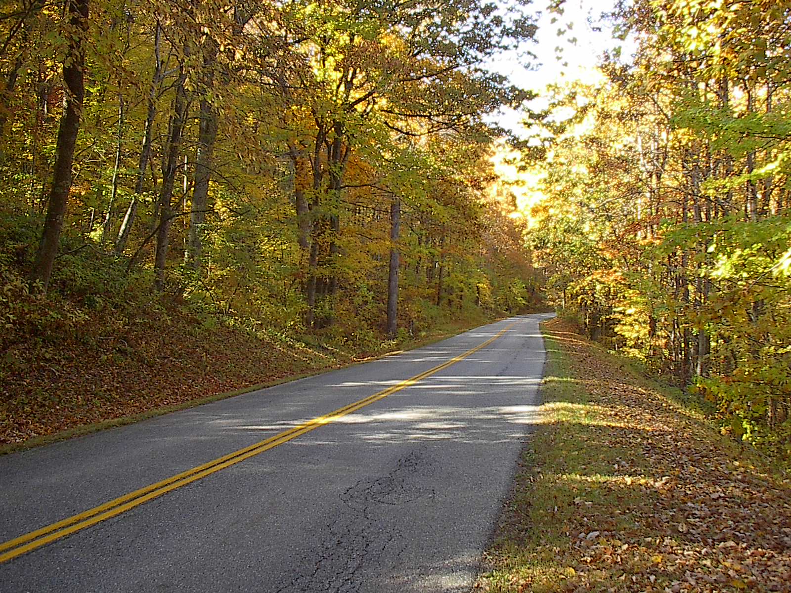 Fall Parkway Drive 102022 005.JPG