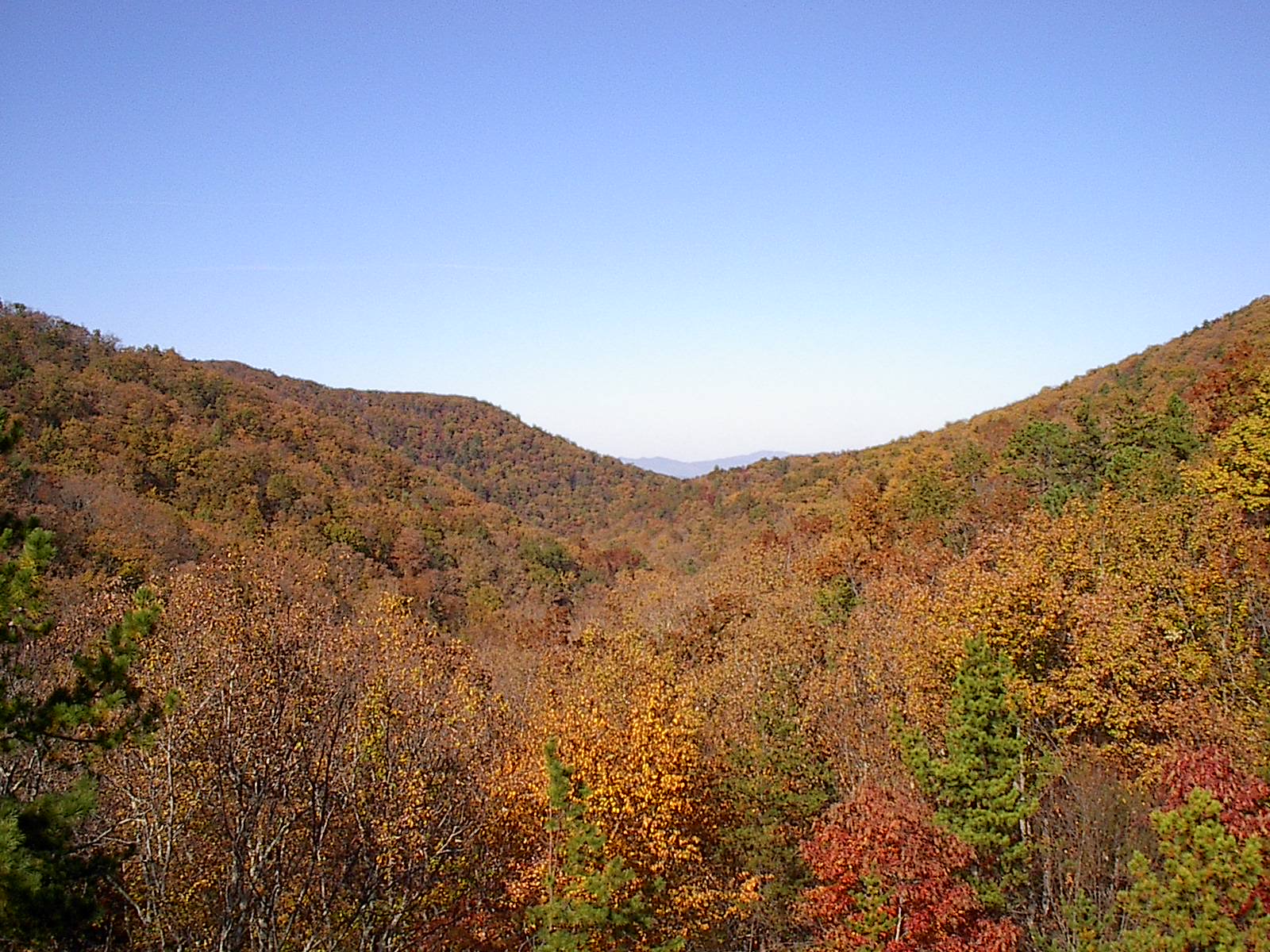 Fall Parkway Drive 102022 006.JPG