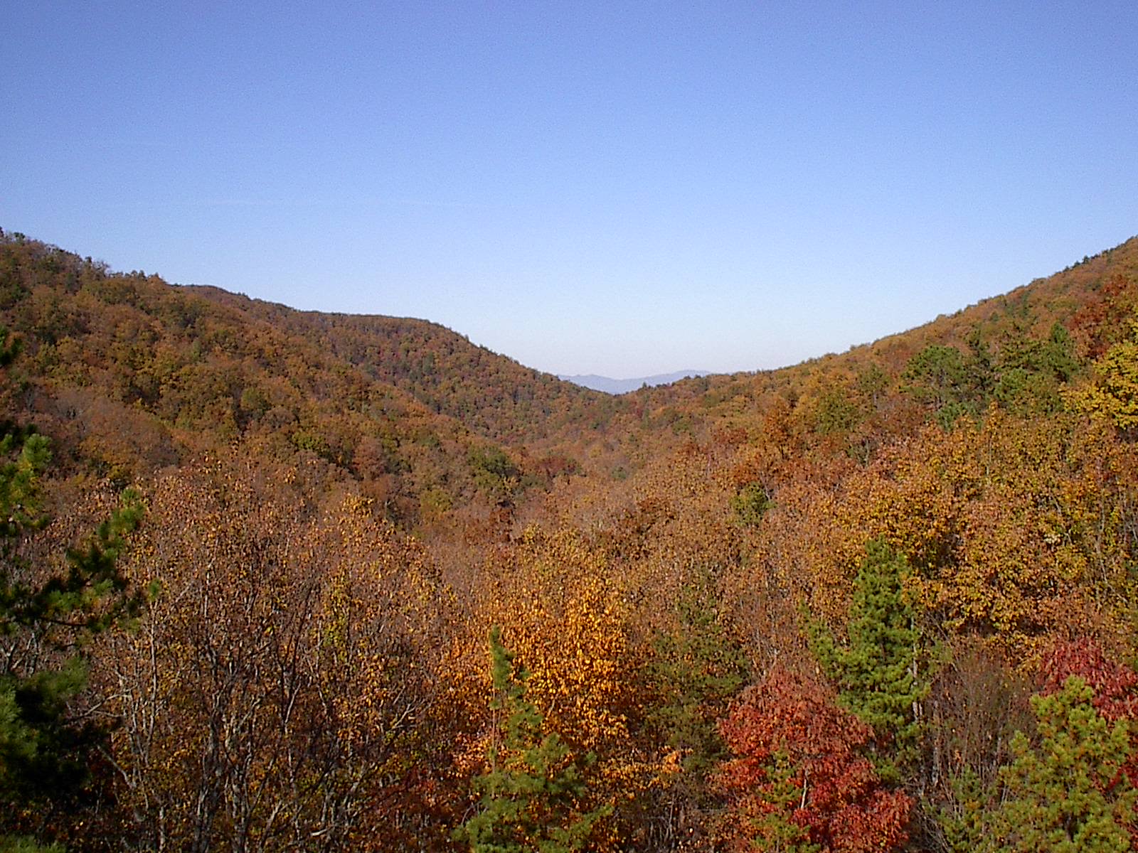 Fall Parkway Drive 102022 007.JPG