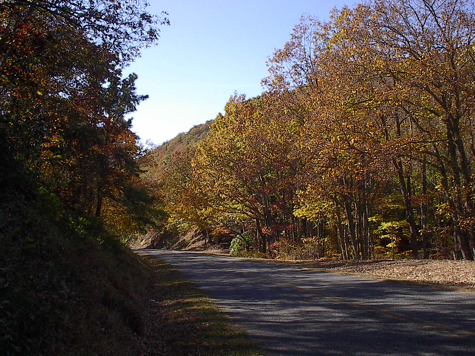 Fall Parkway Drive 102022 008.JPG