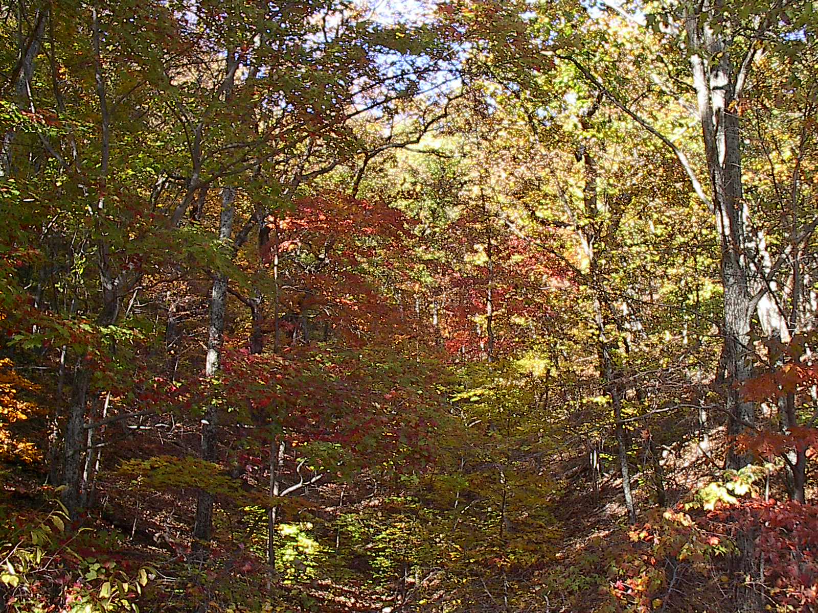 Fall Parkway Drive 102022 009.JPG