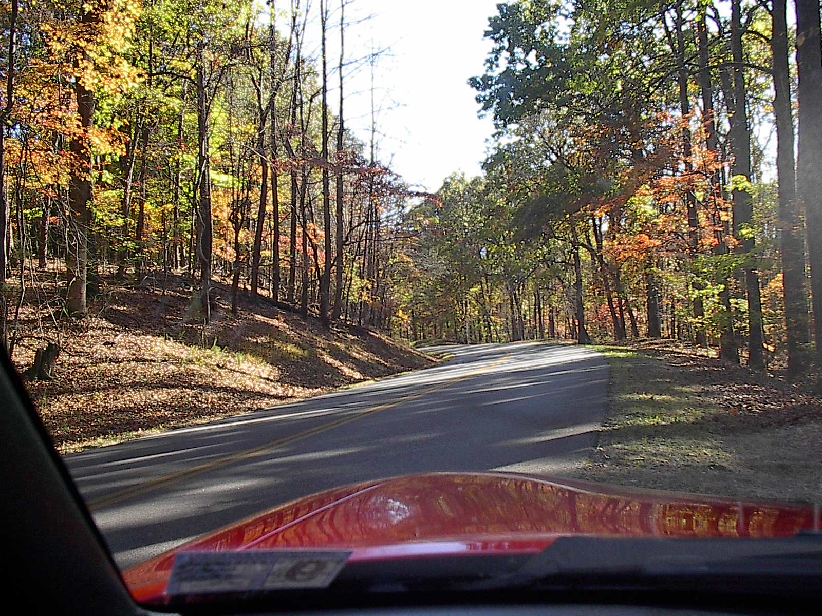 Fall Parkway Drive 102022 011.JPG