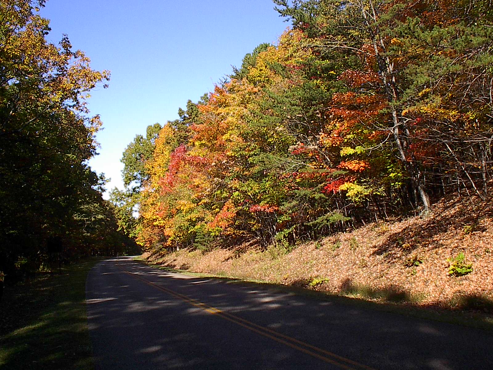 Fall Parkway Drive 102022 012.JPG