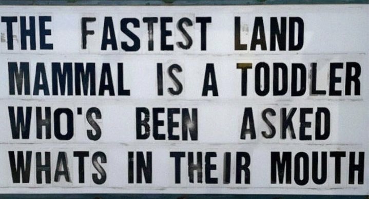 fastest.jpeg