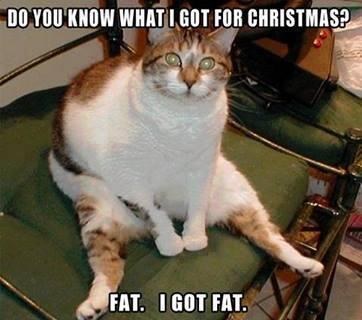 fat4Christmas.jpg