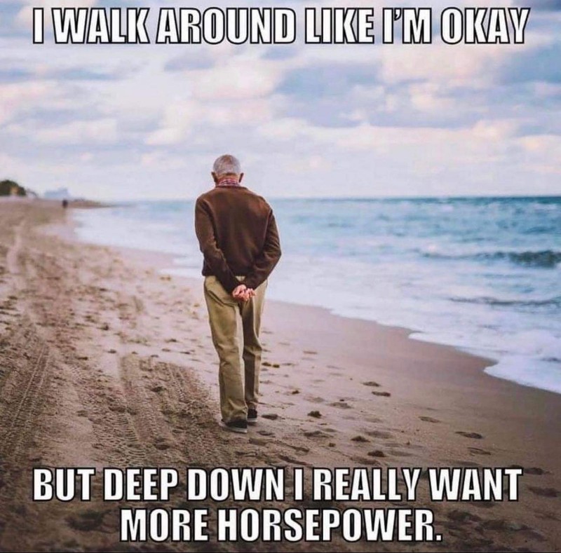 FB_IMG_1674441077554.jpg