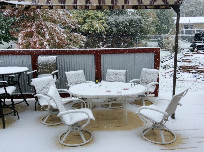 first snow (1280x956).jpg