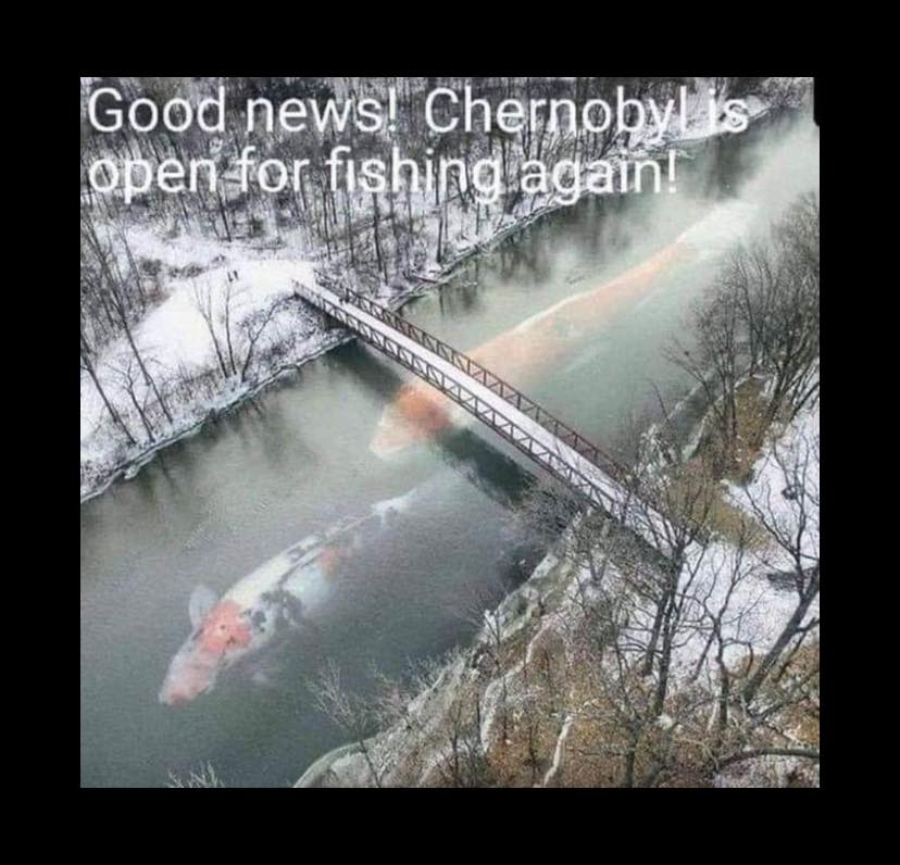 fishing.jpg