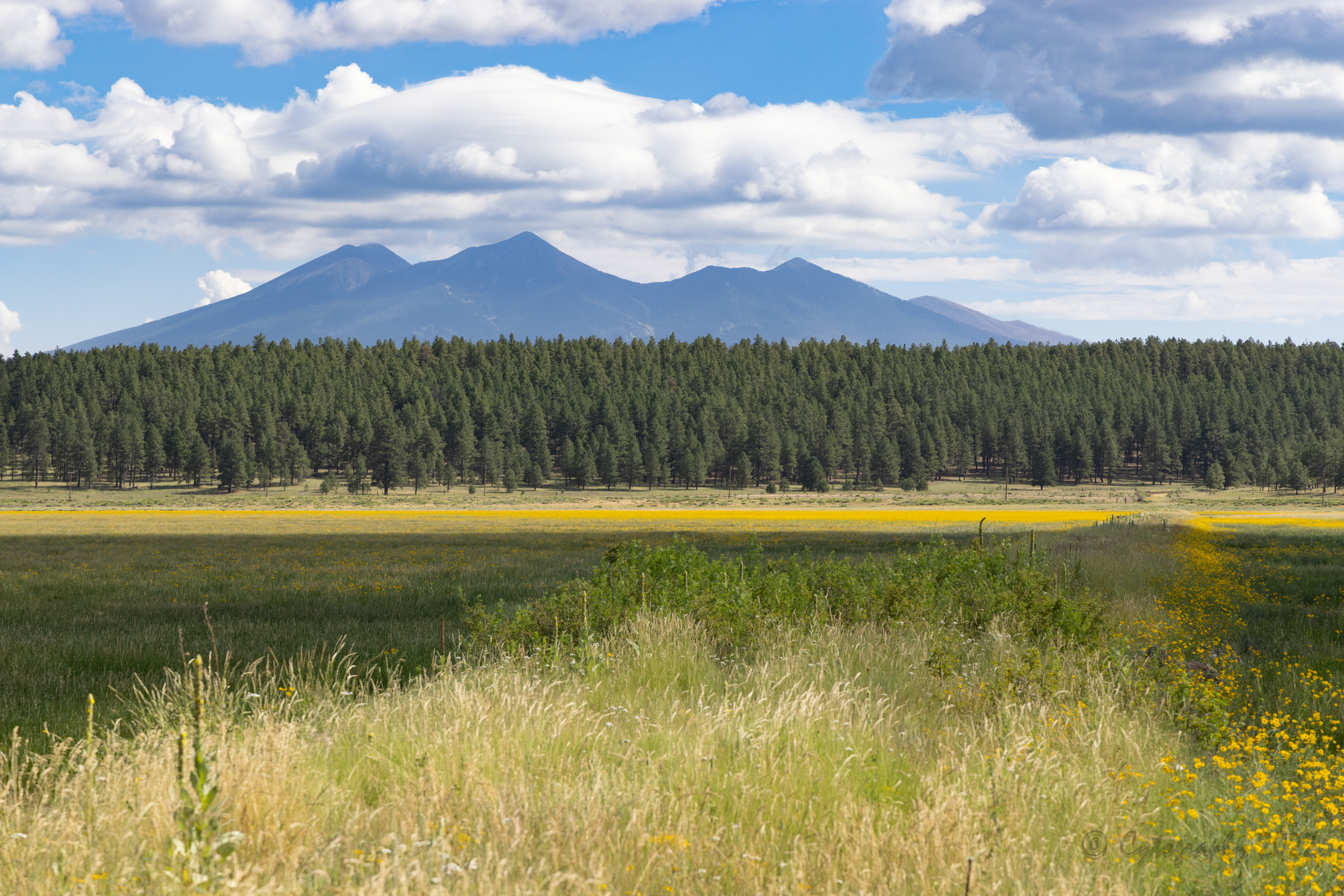 Flag_and_Sedona_Rogers_Lake-4820.jpg