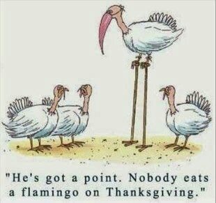 flamingo.jpg