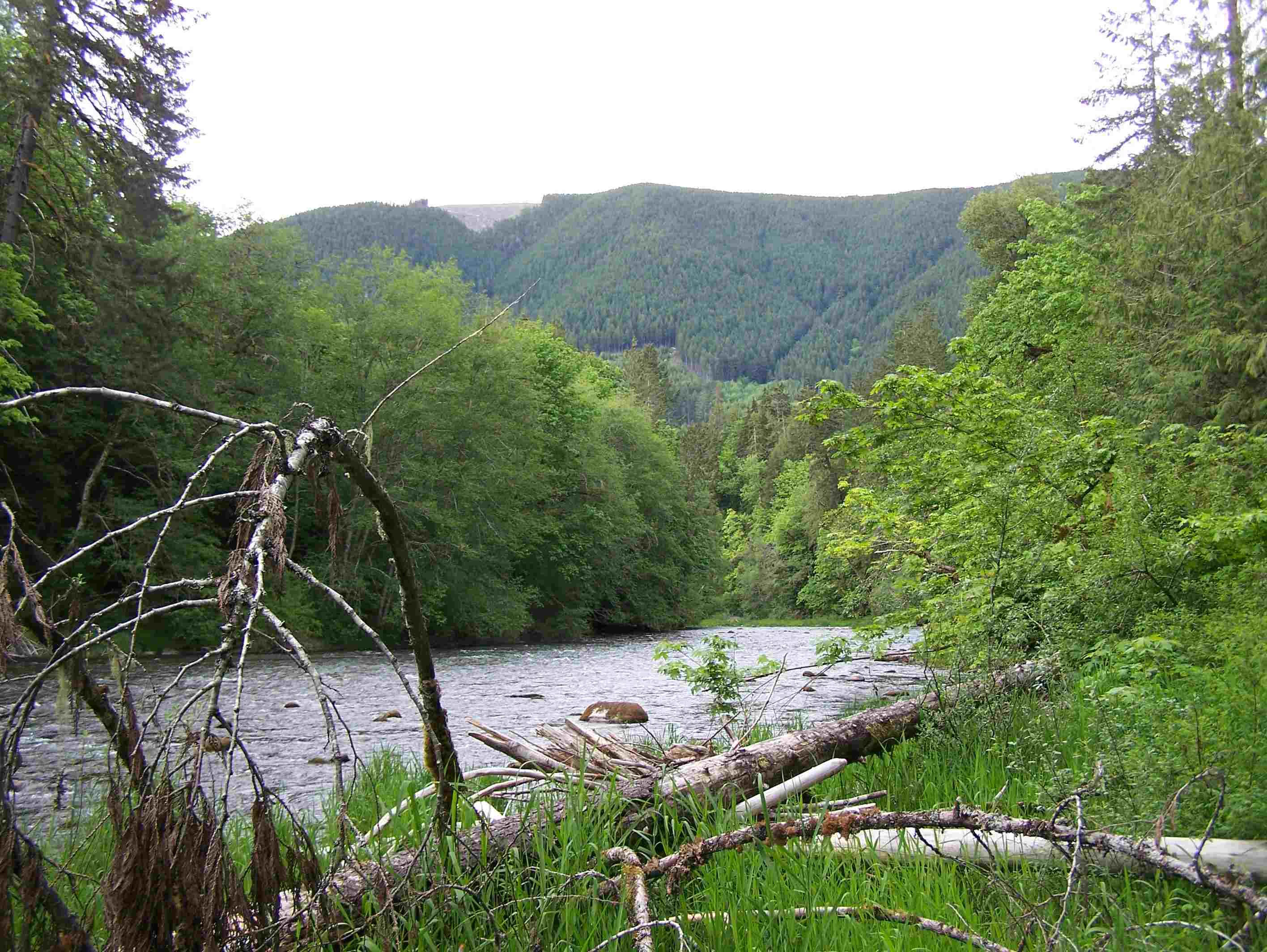 Fly Fishing Trail.JPG