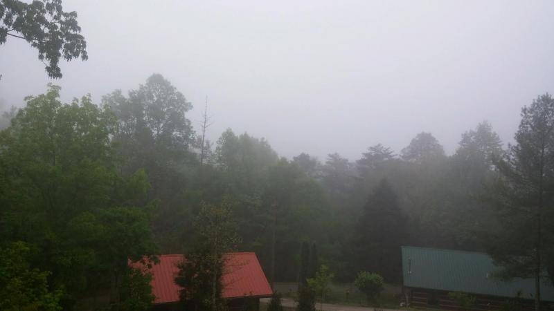 fog.jpg