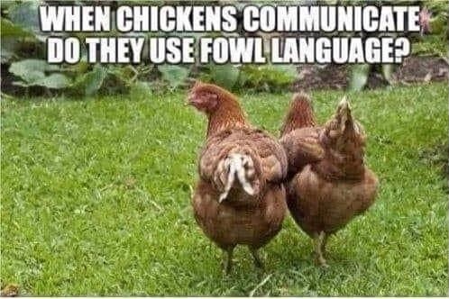 Fowl Language.jpg