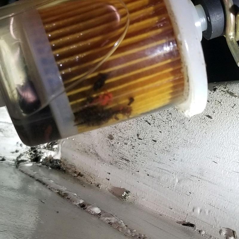 fuel filter resized.jpg