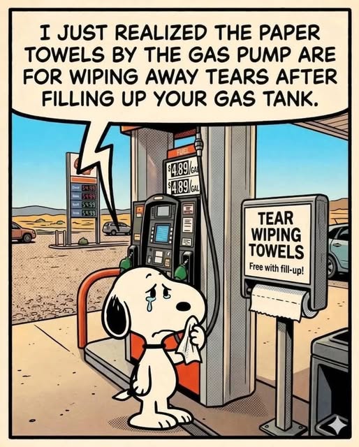 gas station towels.jpg