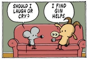 gin.jpg