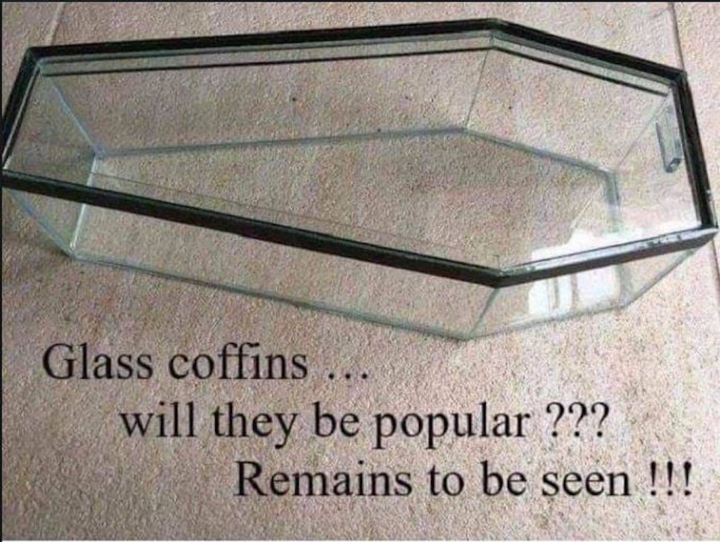 Glass Coffins.jpg