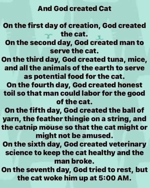 God Created the Cat.jpg