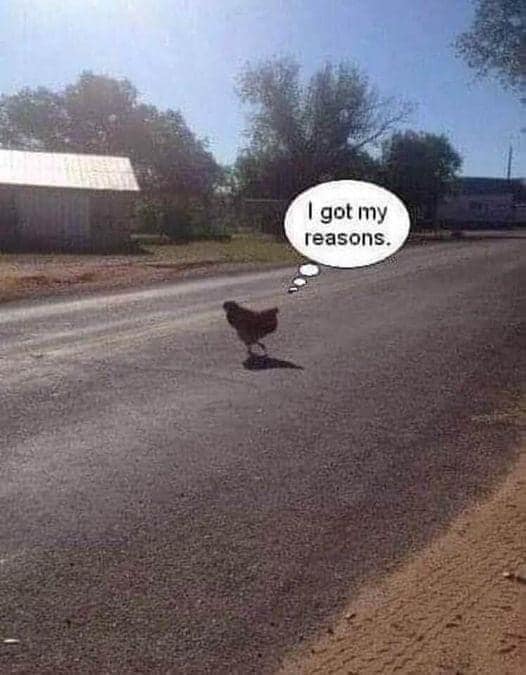 got my reasons.jpg