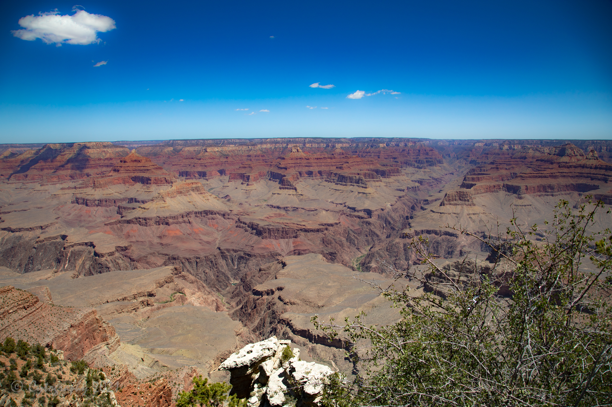 Grand Canyon-1700.jpg