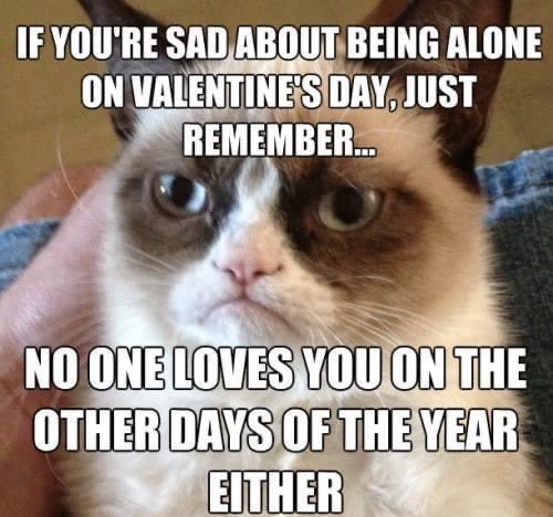 happyVday.jpeg