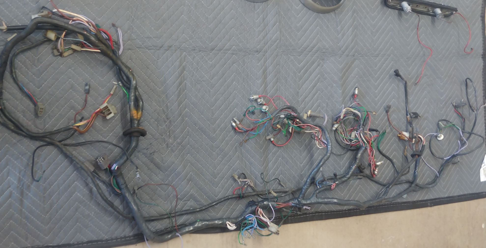 harness.jpg