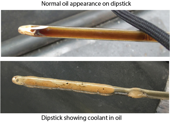 headgasket-failure-showing-on-dipstick.jpg