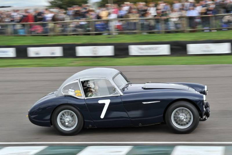 Healey 100 Coupe.jpg