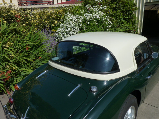 healey rear 3-4.JPG