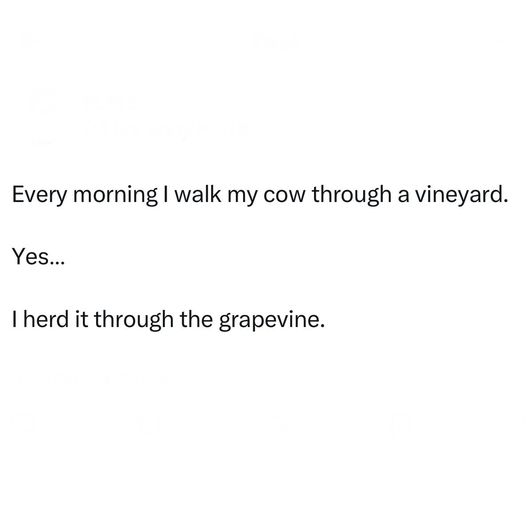 herd it through.jpg