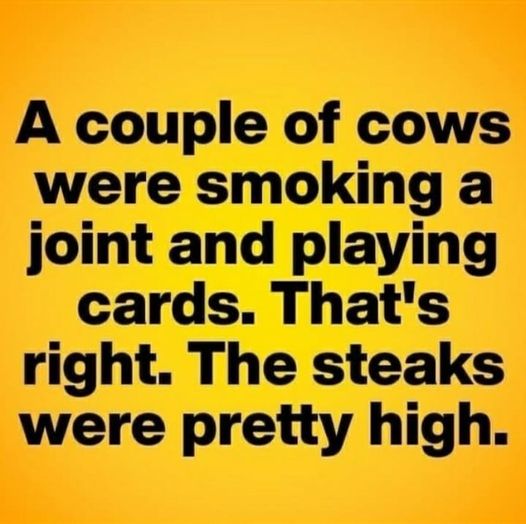 High Steakes.jpg