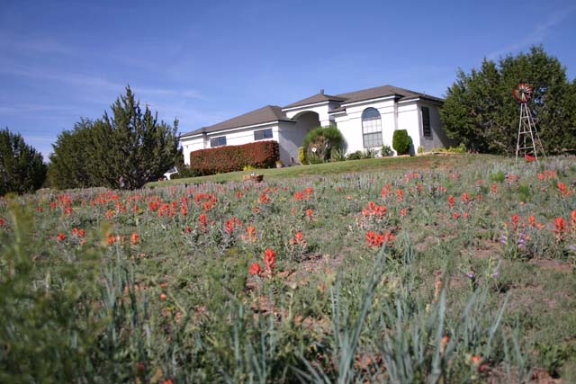 house 1 23 May 04.jpg