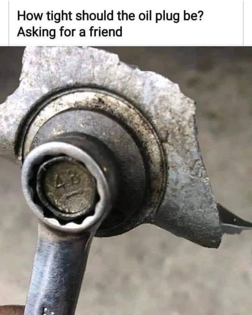 How Tight Should The Oil Plug Be.jpg